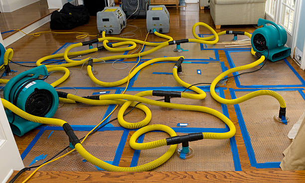 Professional Burst Pipe Water Damage technician working in Hoquiam, WA